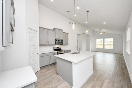 New construction Single-Family house 7319 Blue Gentiana Ln, Katy, TX 77493 plan Parsons - image 12