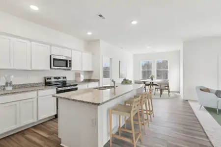 New construction Single-Family house 69 Club Rd, Louisburg, NC 27549 plan Luna - image 5