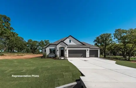 New construction Single-Family house 325 Skeen Peak, Springtown, TX 76082 - image