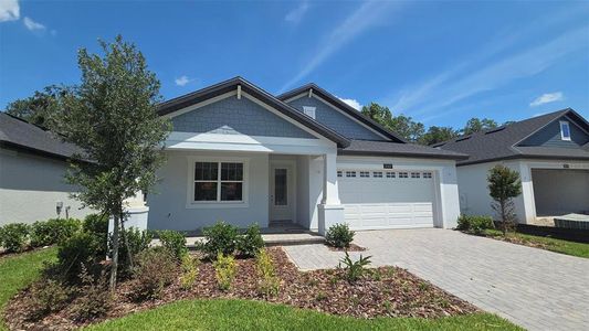 New construction Single-Family house 19451 Forest Garden Ct, Brooksville, FL 34601 plan Solana - image
