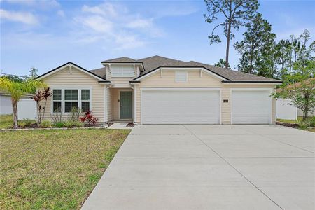 New construction Single-Family house 25 Red Top Ln, Palm Coast, FL 32164 null- photo 0
