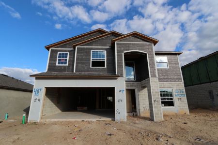 New construction Single-Family house 12176 Hilltop Farms Dr, Dade City, FL 33525 Malibu- photo 54 54