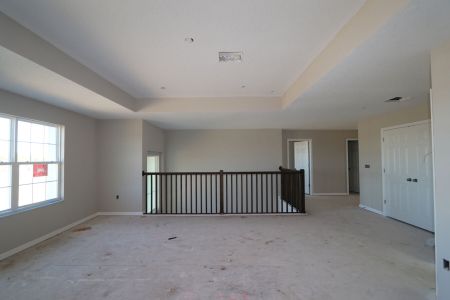 New construction Single-Family house 38338 Tobiano Loop, Dade City, FL 33525 Mira Lago- photo 95 95