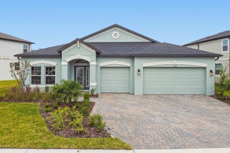 New construction Single-Family house 31200 Hayman Lp, Wesley Chapel, FL 33545 plan Corina II - image