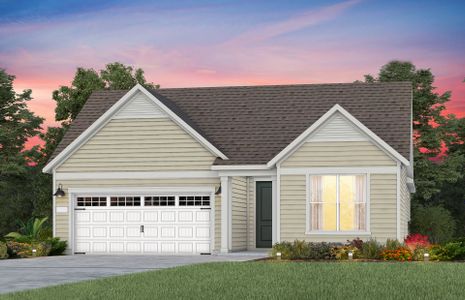 New construction Single-Family house 1377 Sanford Rd, Pittsboro, NC 27312 plan Palmary - image