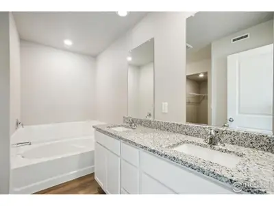 New construction Single-Family house 966 Cascade Falls St, Severance, CO 80550 plan San Juan - image