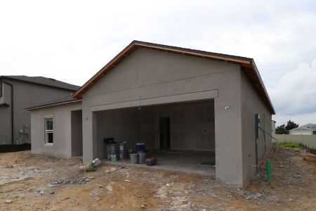 New construction Single-Family house 12193 Hilltop Farms Dr, Dade City, FL 33525 Sentinel- photo 5 5