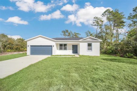 New construction Single-Family house 139 Malauka Pass, Ocklawaha, FL 32179 - photo 0