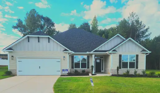 New construction Single-Family house 1027 Holliday Pass, Unit 17, Griffin, GA 30223 plan 2421 - image