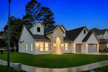New construction Single-Family house 1511 Cafe Dumonde, Conroe, TX 77304 - image
