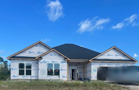 New construction Single-Family house 4276 Coolwater Dr, Bailey, NC 27807 2700- photo 16 16