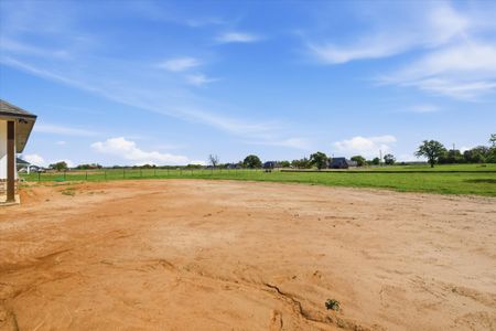 New construction Single-Family house 12 Cattleman Dr, Poolville, TX 76487 plan The Tulip - image 14
