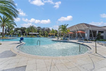 Fountain View by D.R. Horton in Ormond Beach - photo 14 14