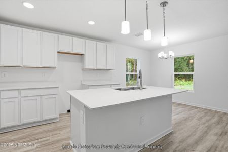 New construction Single-Family house 1165 Martin Luther King Junior Blvd, Green Cove Springs, FL 32043 - image