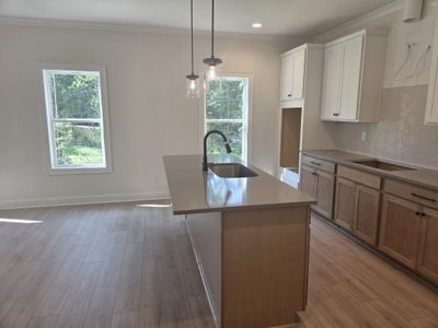New construction Single-Family house 113 Southview Dr, Ellenwood, GA 30294 - image 6