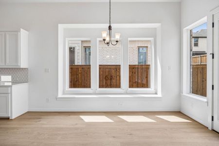New construction Single-Family house 3517 Delphi Ct, Corinth, TX 76208 plan Grand Alexandria - image 13