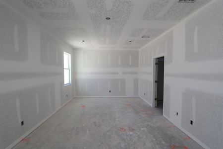 New construction Single-Family house 9492 Crescent Ray Dr, Wesley Chapel, FL 33545 Picasso- photo 24 24