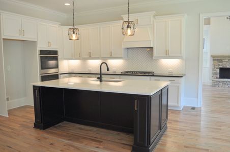 New construction Single-Family house 101 Mills Ln, Ball Ground, GA 30107 plan Dillard B - image 6