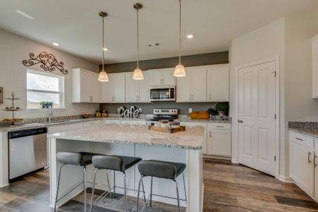 New construction Single-Family house 731 Larry Circle Mt, Mount Pleasant, TN 38474 plan Harvest GY - image 11
