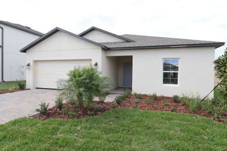 New construction Single-Family house 12227 Hilltop Farms Dr, Dade City, FL 33525 Sentinel- photo 91 91