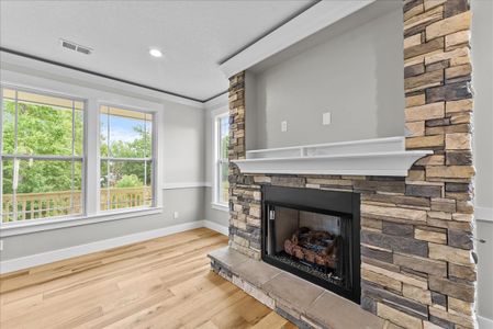 New construction Single-Family house 240 Hart Cut Rd, Slater-Marietta, SC 29661 plan Emilia Elite - image 7