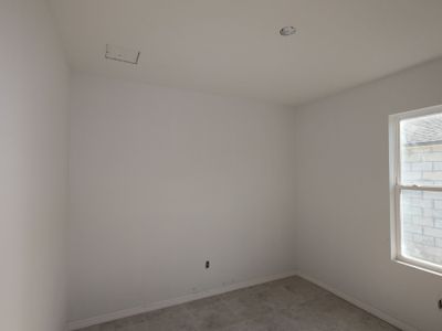 New construction Single-Family house 2909 Berry Coppice Pl, Wimauma, FL 33598 plan Maui - image