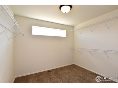 New construction Single-Family house 724 85Th Ave Ct, Greeley, CO 80634 The New Jersey- photo 26 26