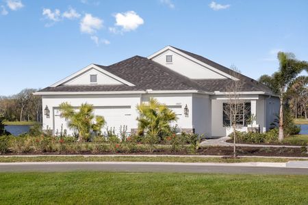 New construction Single-Family house 10025 Hammock Brook Dr, Parrish, FL 34219 plan Meadow Brook - image