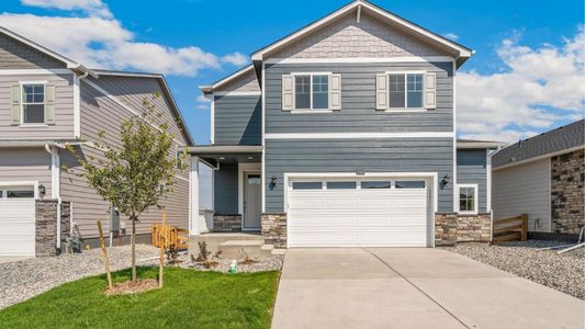 New construction Single-Family house 865 Trumpet Ln, Windsor, CO 80550 plan Pine - image