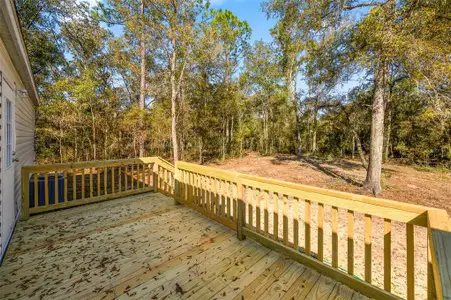 New construction Single-Family house 6951 Ne 104 Ct, Bronson, FL 32621 - image