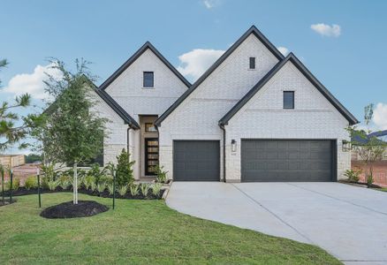 New construction Single-Family house 5135 Silverbell Ln, Montgomery, TX 77316 plan 5029 Elevation D - image