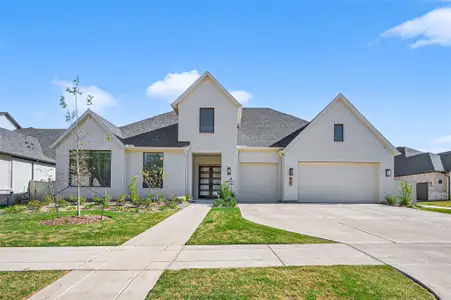 New construction Single-Family house 175 Shoveler Duck Wy, Magnolia, TX 77354 - image