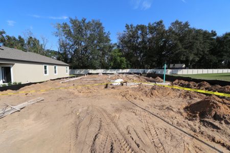 New construction Single-Family house 11984 Hilltop Farms Dr, Dade City, FL 33525 Casanova- photo 6 6