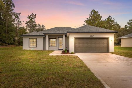 New construction Single-Family house 6067 Sw 155Th Street Rd, Ocala, FL 34473 - image