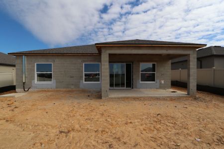 New construction Single-Family house 12263 Hilltop Farms Dr, Dade City, FL 33525 Sentinel- photo 49 49