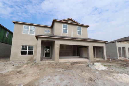 New construction Single-Family house 9489 Seagrass Port Pass, Wesley Chapel, FL 33545 Alenza- photo 10 10