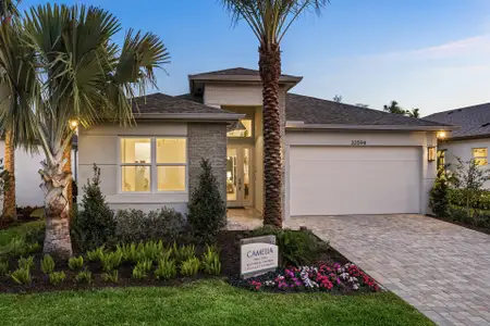 New construction Single-Family house 3427 Malta Ave, Wesley Chapel, FL 33543 plan Camelia - image