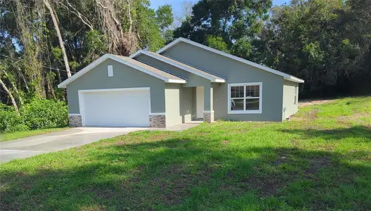 New construction Single-Family house 4121 Se 138Th Pl, Summerfield, FL 34491 - image