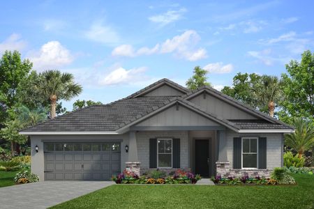 New construction Single-Family house 2515 Wise River Ln, Zephyrhills, FL 33541 Catalina- photo 0