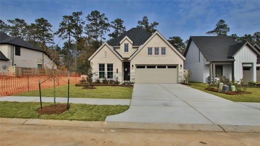 New construction Single-Family house 475 Audubons Shearwater Wy, Magnolia, TX 77354 plan 2049P - image