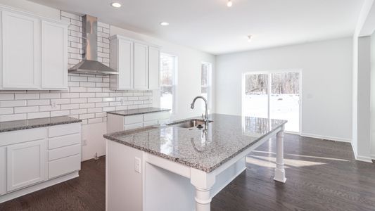 New construction Single-Family house 4841 Burton Ln, Saline, MI 48176 plan The Middleton - image 9
