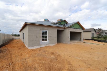 New construction Single-Family house 12263 Hilltop Farms Dr, Dade City, FL 33525 Sentinel- photo 30 30