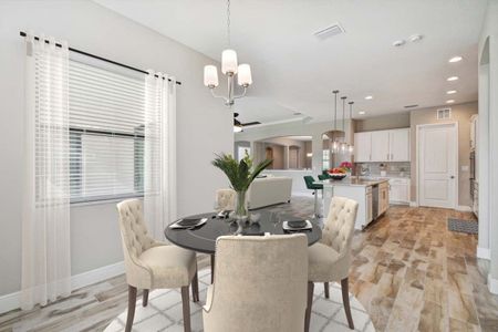 New construction Single-Family house 3528 Cross Creek Pkwy, Parrish, FL 34219 plan Strabane - image 12