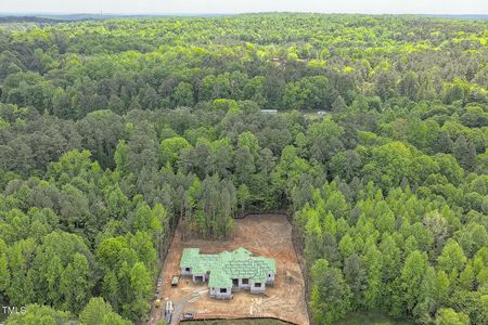 New construction Single-Family house 279 Westhampton Drive, Pittsboro, NC 27312 - photo 2 2