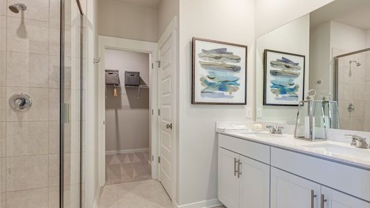 Spring Valley Estates: Classic Collection 11