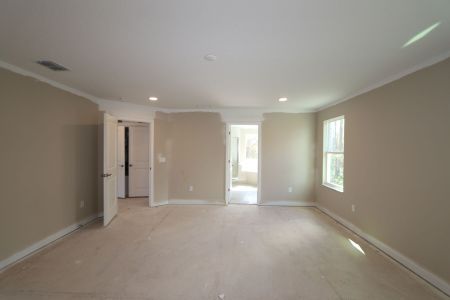 New construction Single-Family house 20125 Oriana Loop, Land O' Lakes, FL 34638 Santina II- photo 139 139