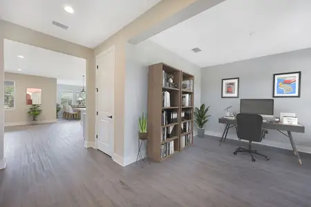 Tamarack at Two Rivers by William Ryan Homes in Zephyrhills - image 20