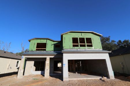 New construction Single-Family house 12008 Hilltop Farms Dr, Dade City, FL 33525 Alenza- photo 17 17