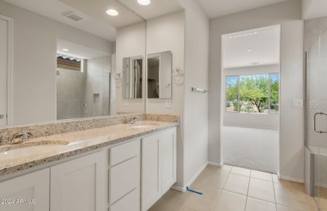 New construction Single-Family house 21493 N 269Th Ave, Buckeye, AZ 85396 Sanctuary- photo 10 10