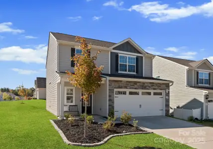 New construction Single-Family house 159 Tanner Lp, Troutman, NC 28166 - image